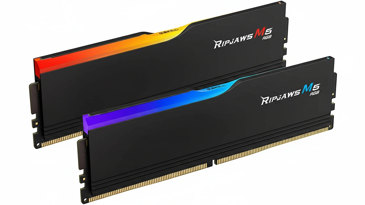 Two G.SKILL Ripjaws M5 RGB DDR5 memory modules display vibrant light bars against a matte black finish.